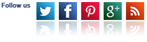 Follows on Facebook, Twitter, Pinterest, Google + and Our Blog