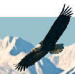 Alaska's wildlife
