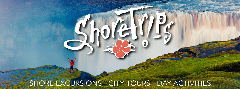 shore excursions - city tours - day activities